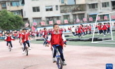 爱游戏APP:这所城郊小学，遍地“长满”了体育器材——中小学“以体育人”成效观察之一